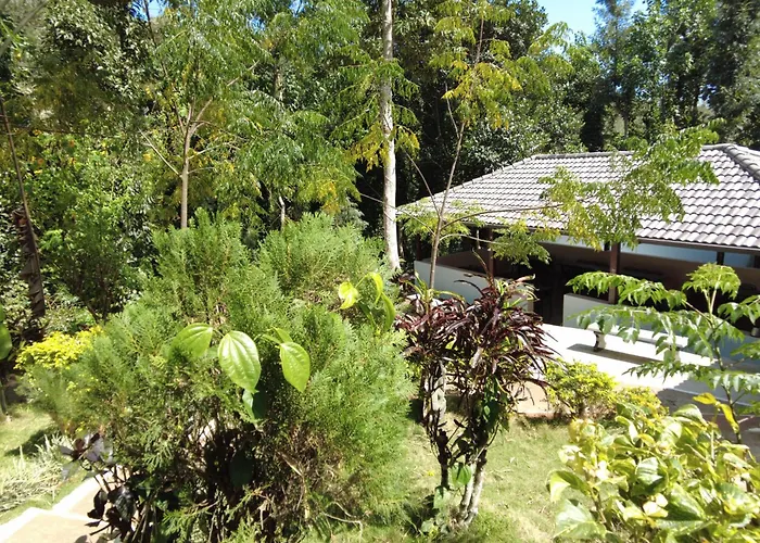 Seattle Garden Resort - Kollihills