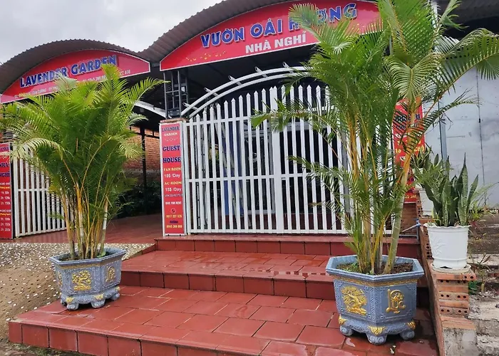 Nha Nghi Vuon Oai Huong Lavender Garden Guest House
