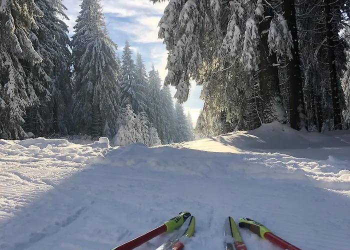 Rennsteighotel Grüner Baum