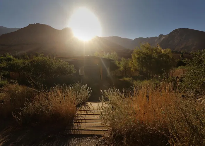 Reset Elqui