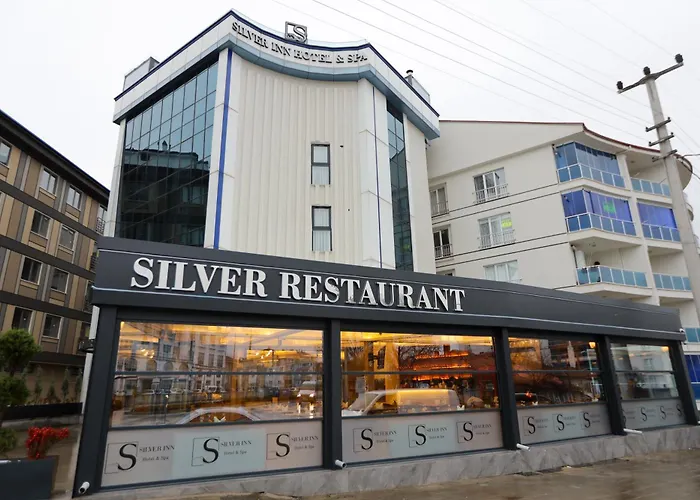 Silver Inn Spa