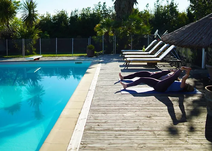 Mas Des Fleurs - Mimosa