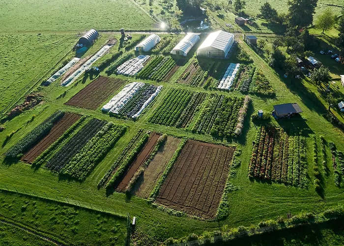 Lindengut Bio Hotel & Bio Herberge