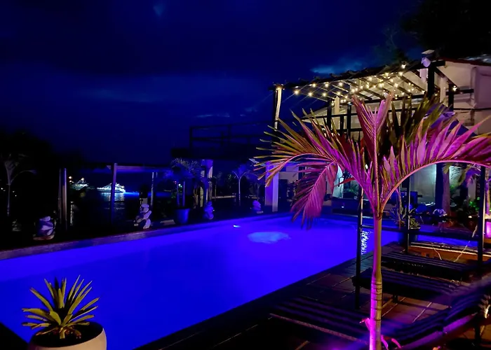 Boutique Beachfront Hotel On Isla Contadora