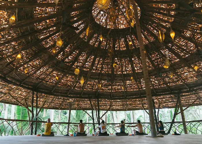 Dryft Darocotan Island (Adults Only)