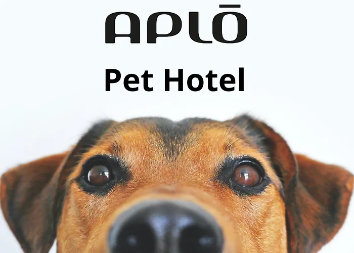 Hotel Aplo - Breakfast Experience