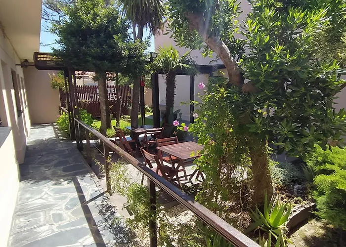 Hotel Vireo