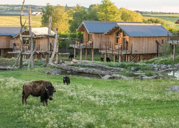 Parc Animalier De Sainte-Croix