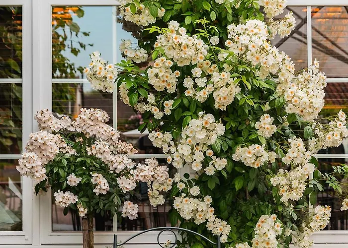De Lindenhoeve Boutique Hotel