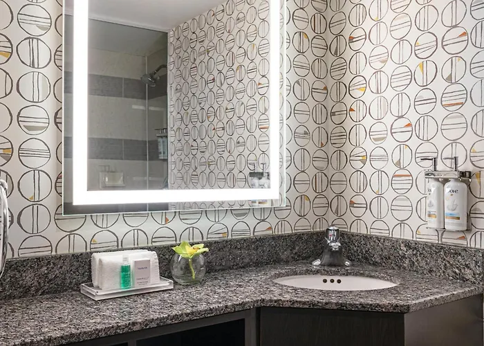 Holiday Inn Toronto Downtown Centre By Ihg
