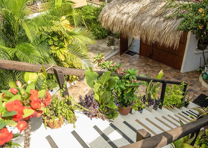 Casa Mazunte Tierra Viva