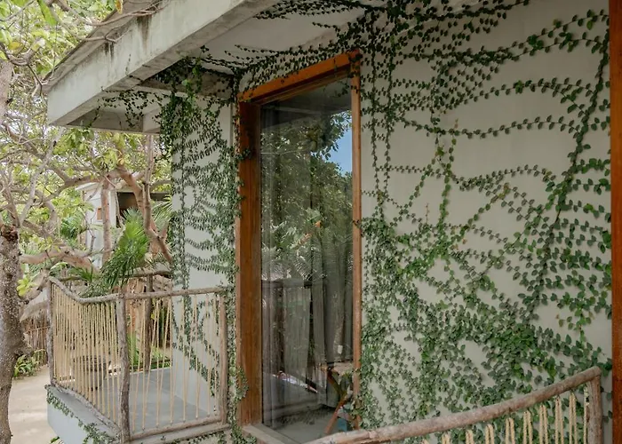 Villa Mango Jeri