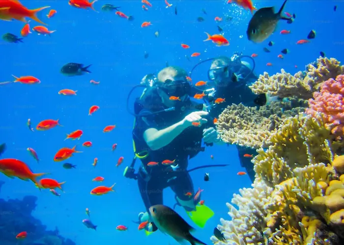 Lobster Bay Lombok
