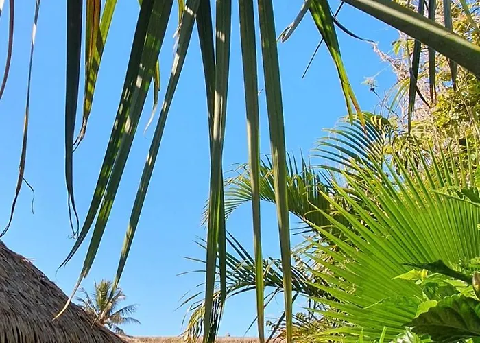 Hotel & Apartments "Chez Hiva"