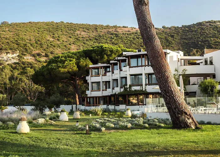 Hotel La Roya
