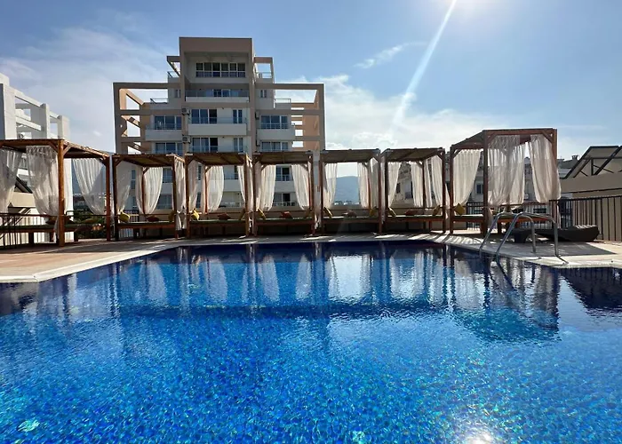 Olivia Palm Hotel