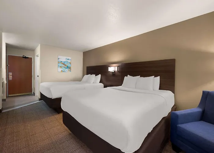 Comfort Inn & Suites Fenton