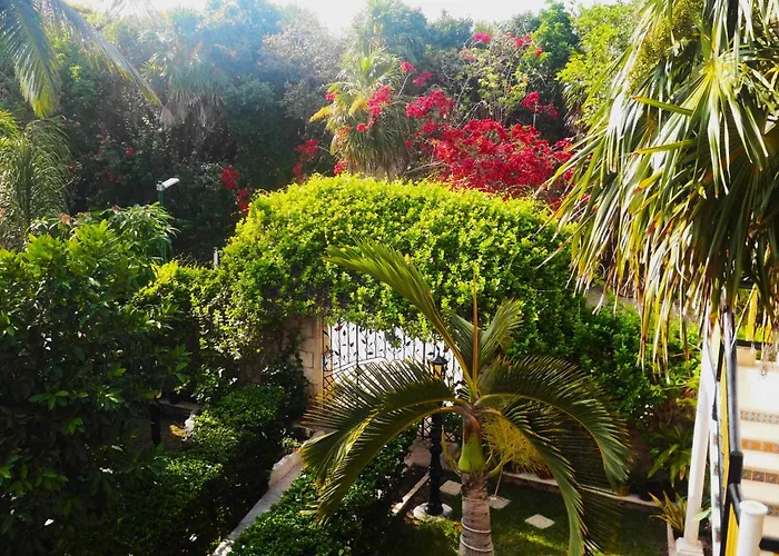 Casa Gatos Suites
