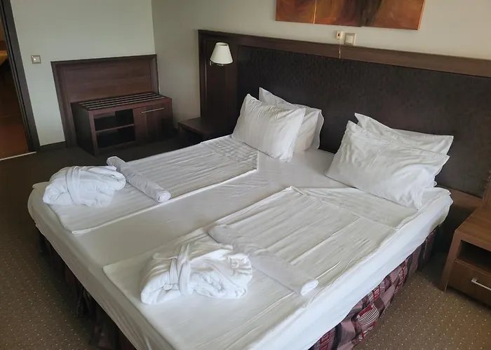 Sana Spa Hotel