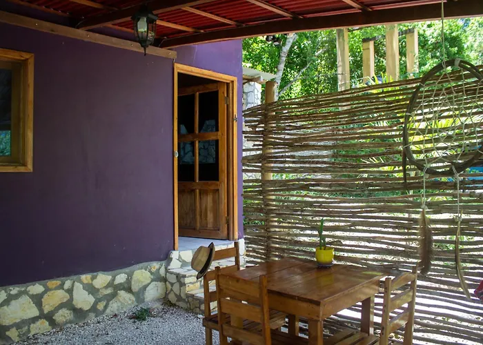 Alice Guesthouse