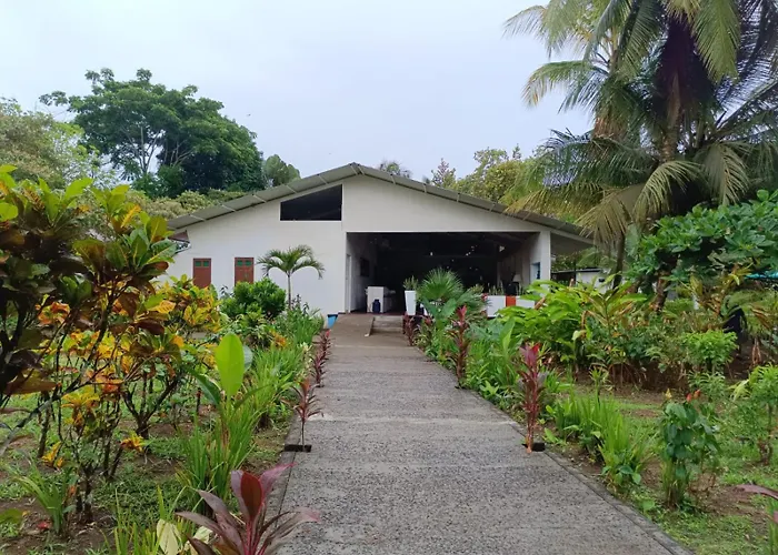 Hotel Tortuguero Beachfront