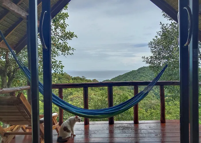 Tree House Bungalows Koh Tao