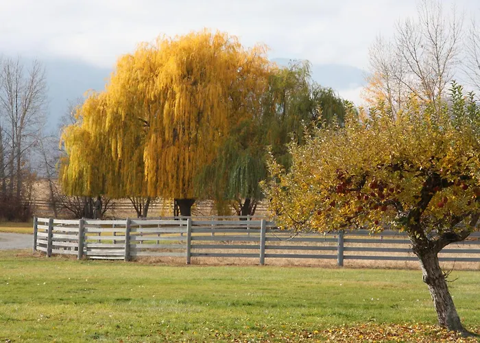 Casia Lodge And Ranch