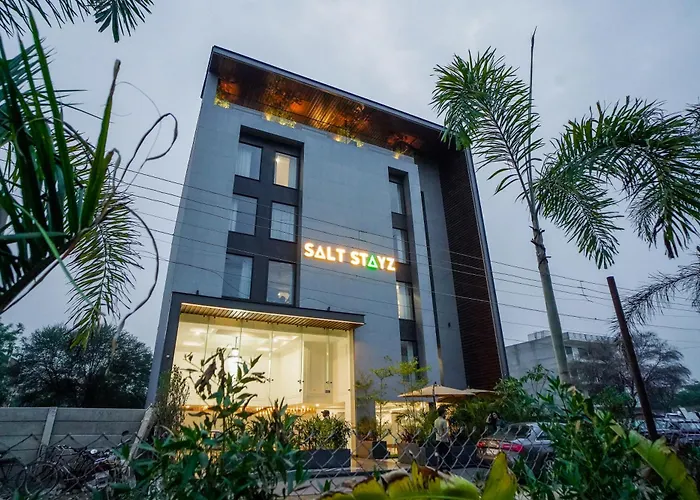 Saltstayz Basil - Near Golf Course Road & Extension Road