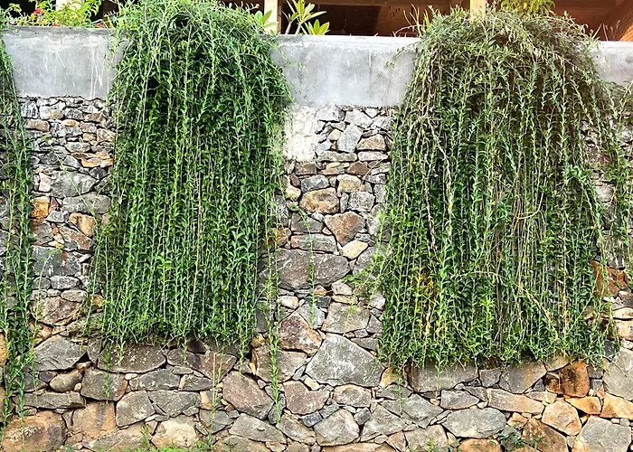 Kapaliya Unawatuna