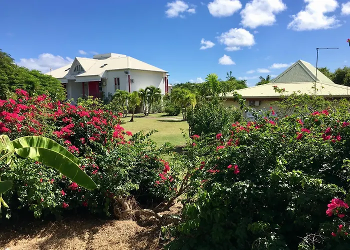 Residence Le Vallon Guadeloupe Parc Piscine Appartements & Studios
