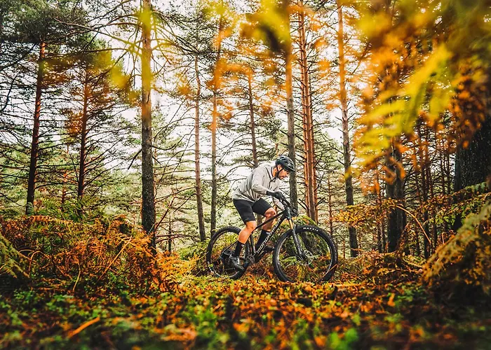 k1 sporthotel - Bike&Ski inklusive Hotel
