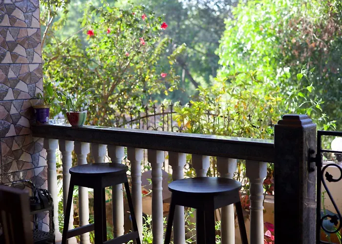 Last Minute Trip Hostel Morjim-By The Sea