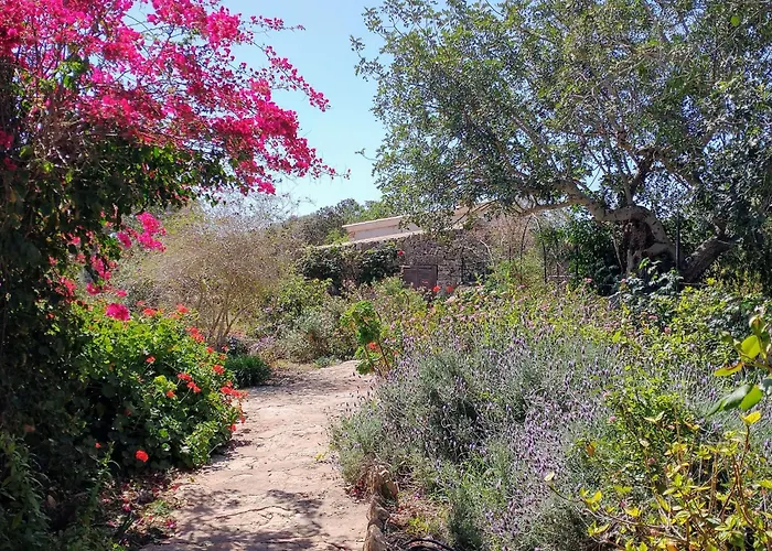 Finca Son Marimon - Adults Only