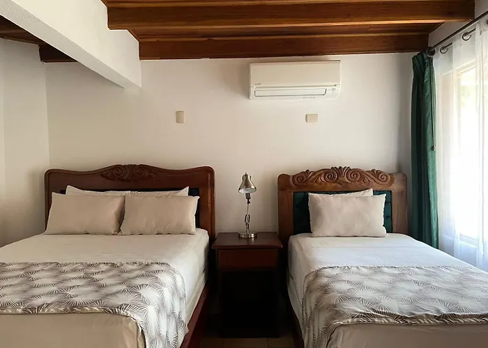Hotel Javy
