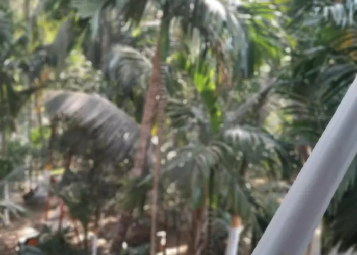 Vaibhav Naik Madhuli Cottage