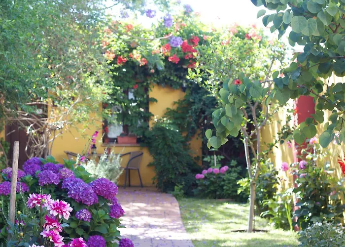 Hotel Donana Blues