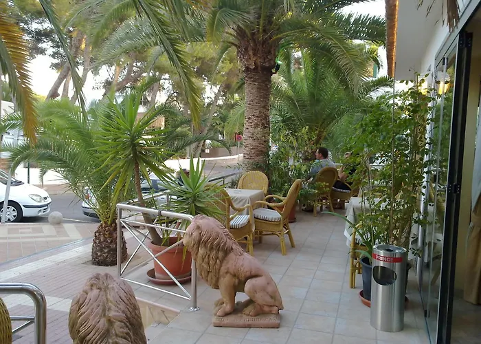 Hostal Leo D'Or