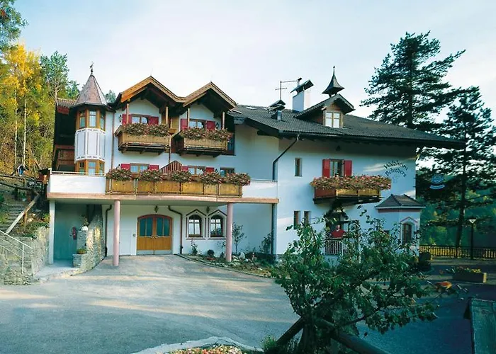 Hotel Waldheim Belvedere