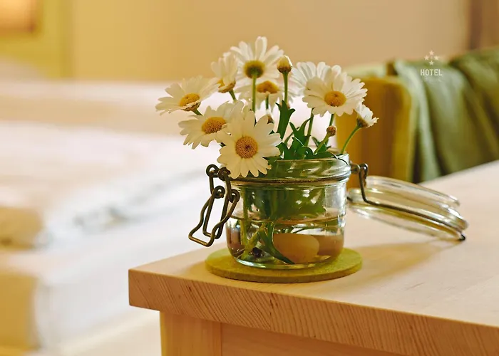 Hotel Zur Schanz