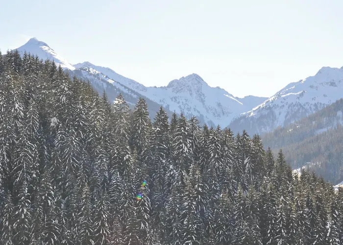 Hotel Alphof Alpbach