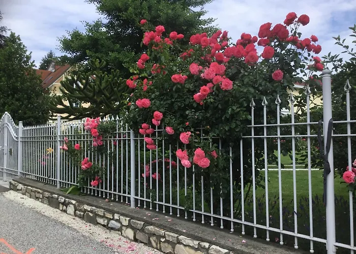 Villa Auguste