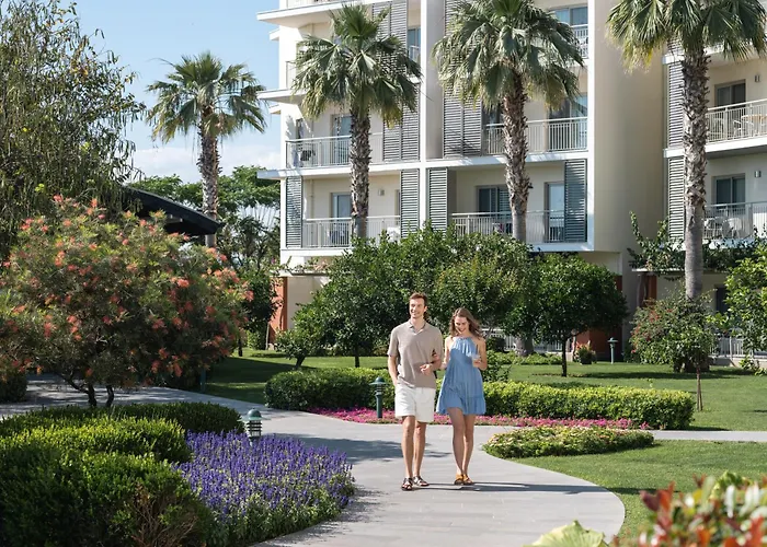 Barut Goia