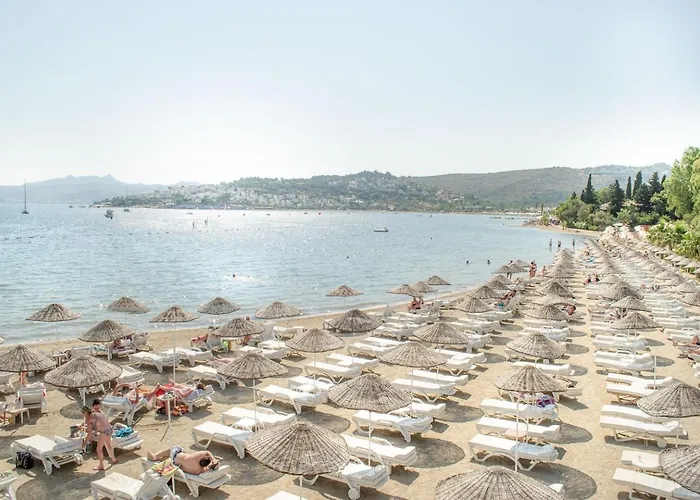 Ambrosia Hotel Beach & Spa
