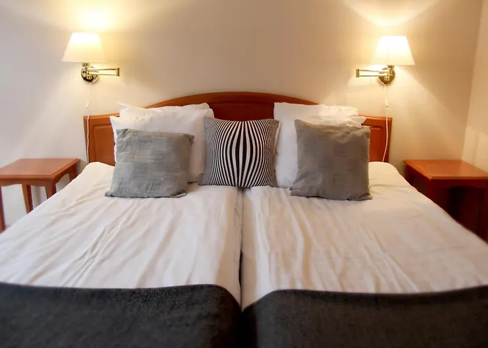 Sure Hotel By Best Western Focus