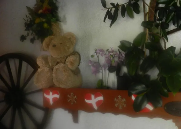Chalet-Hotel Du Borderan