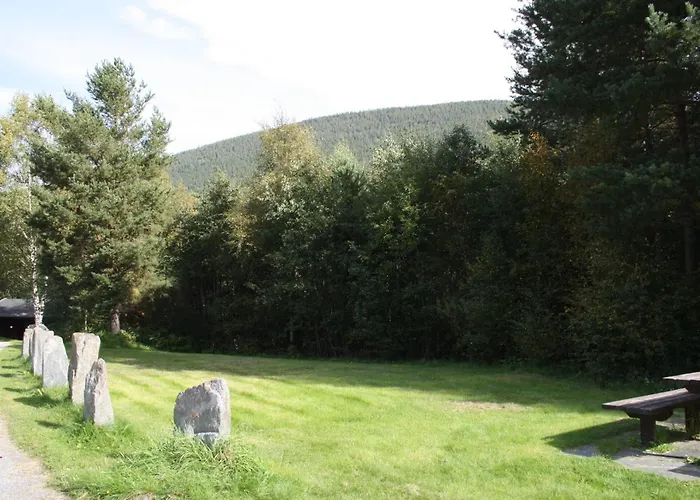 Dovreskogen Gjestegard As