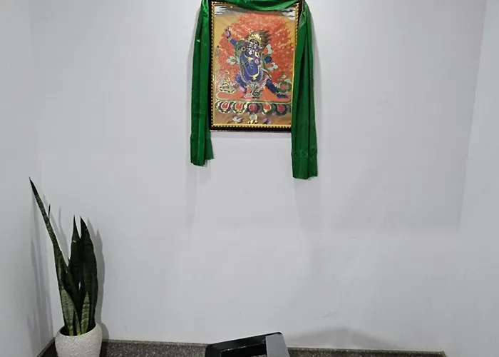 Shanol Residency