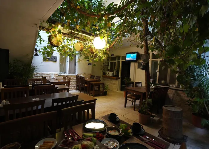 Ozenturku Hotel