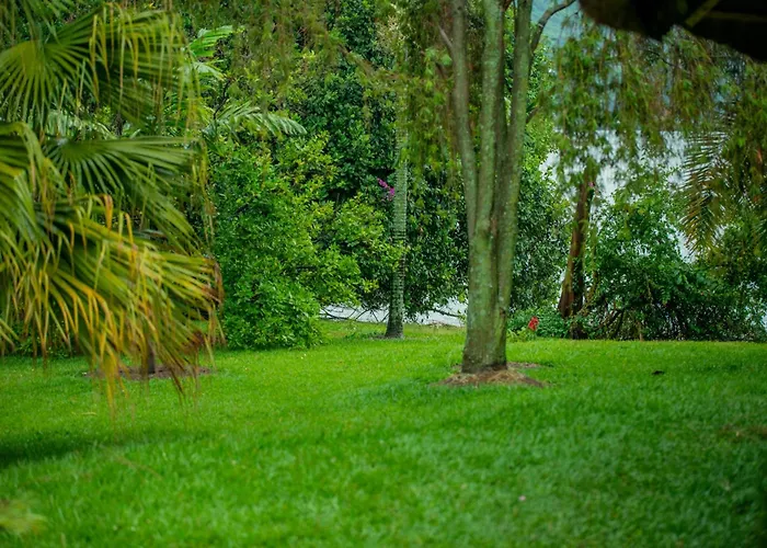Paradise Malahide
