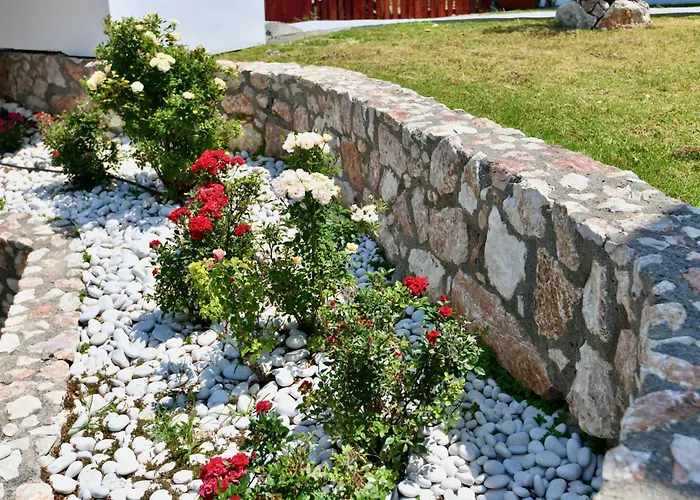 Summer View